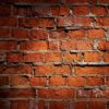 brickwall profile picture