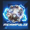 richimpulse profile picture