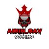 AMIN_SAV profile picture