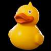 ducks profile picture