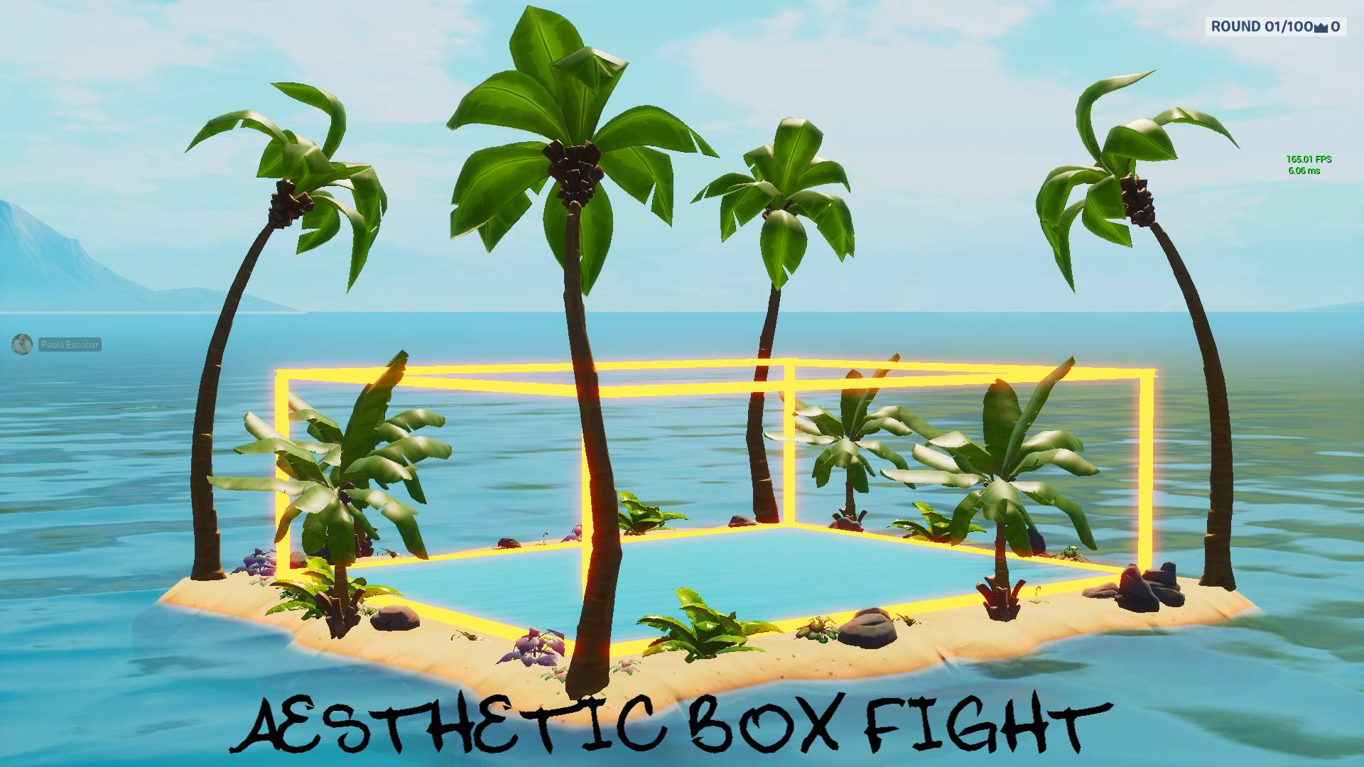 "AESTHETIC BOX FIGHT"