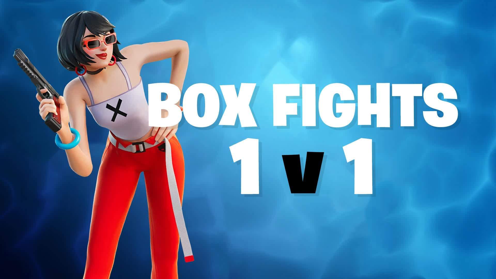 1V1 Box Fight Only Pros