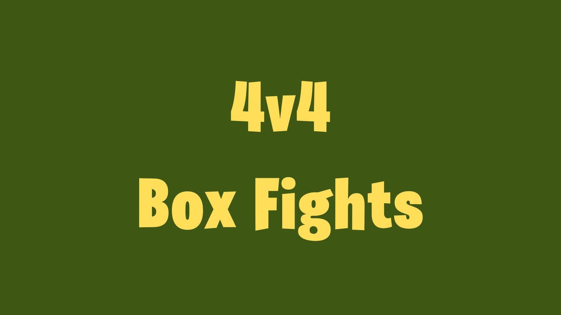 4v4 Box Fights