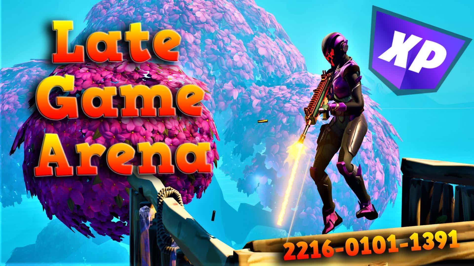 SOLO LATE GAME ARENA 2216-0101-1391