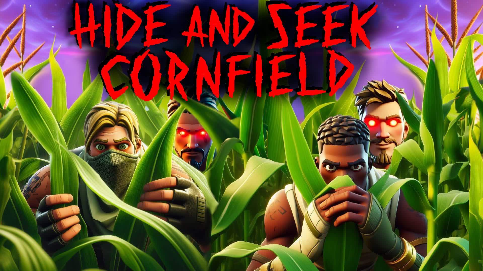 Hide & Seek The Cornfield