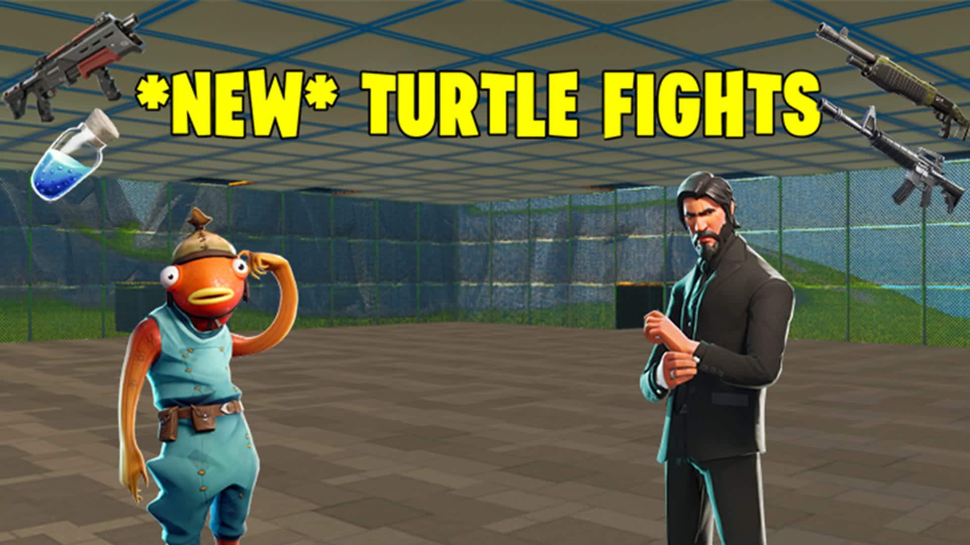 'New' Turtle Fights