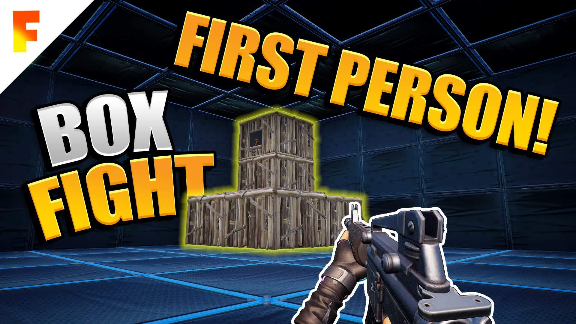 Box Fight First person (FPS)