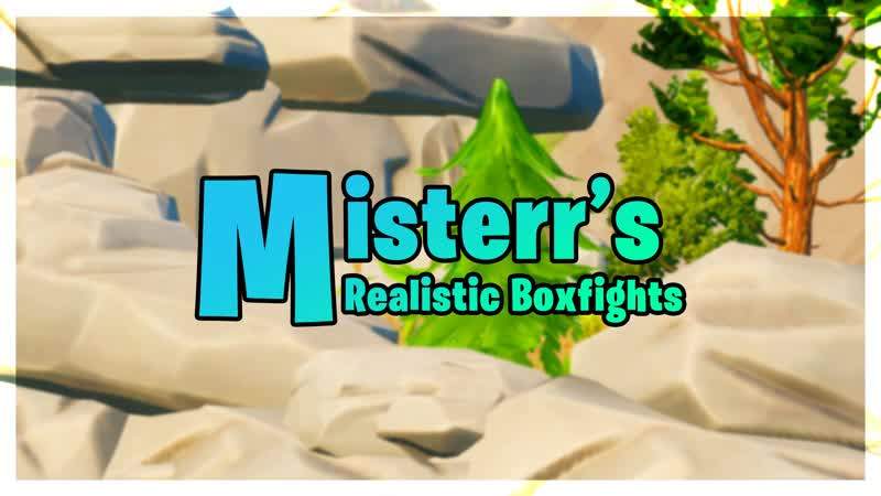 MISTERR'S REALISTIC BOX FIGHTS