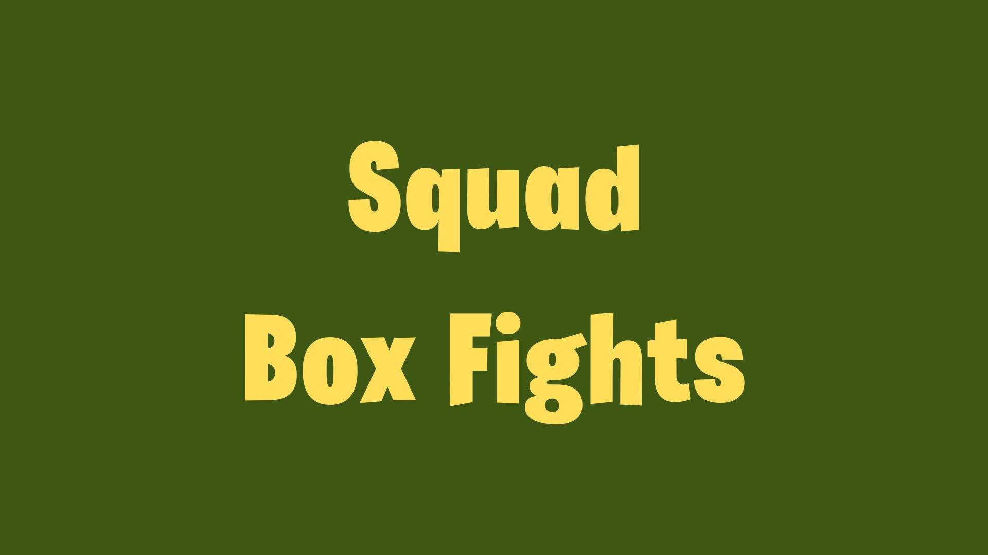 Squad Box Fights