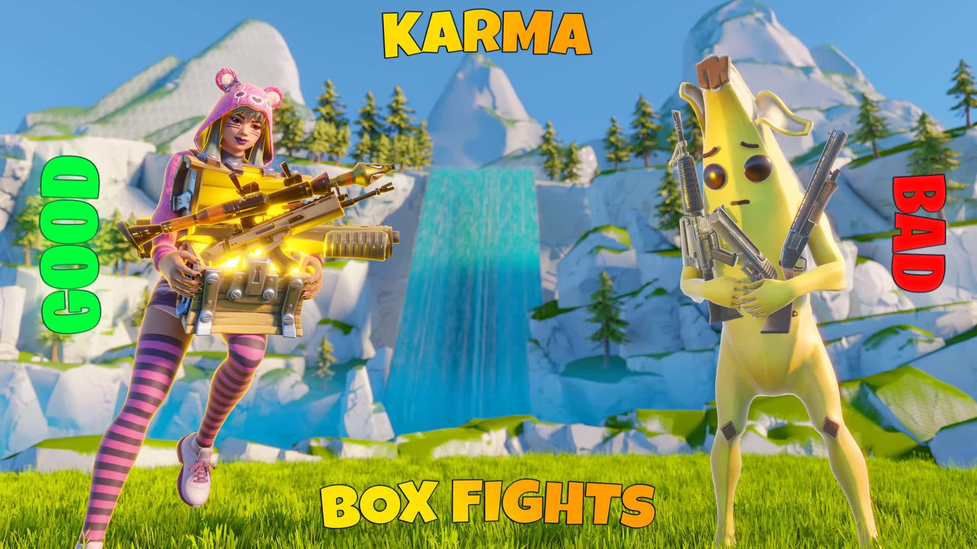 KARMA - Good or Bad? (Box Fights)