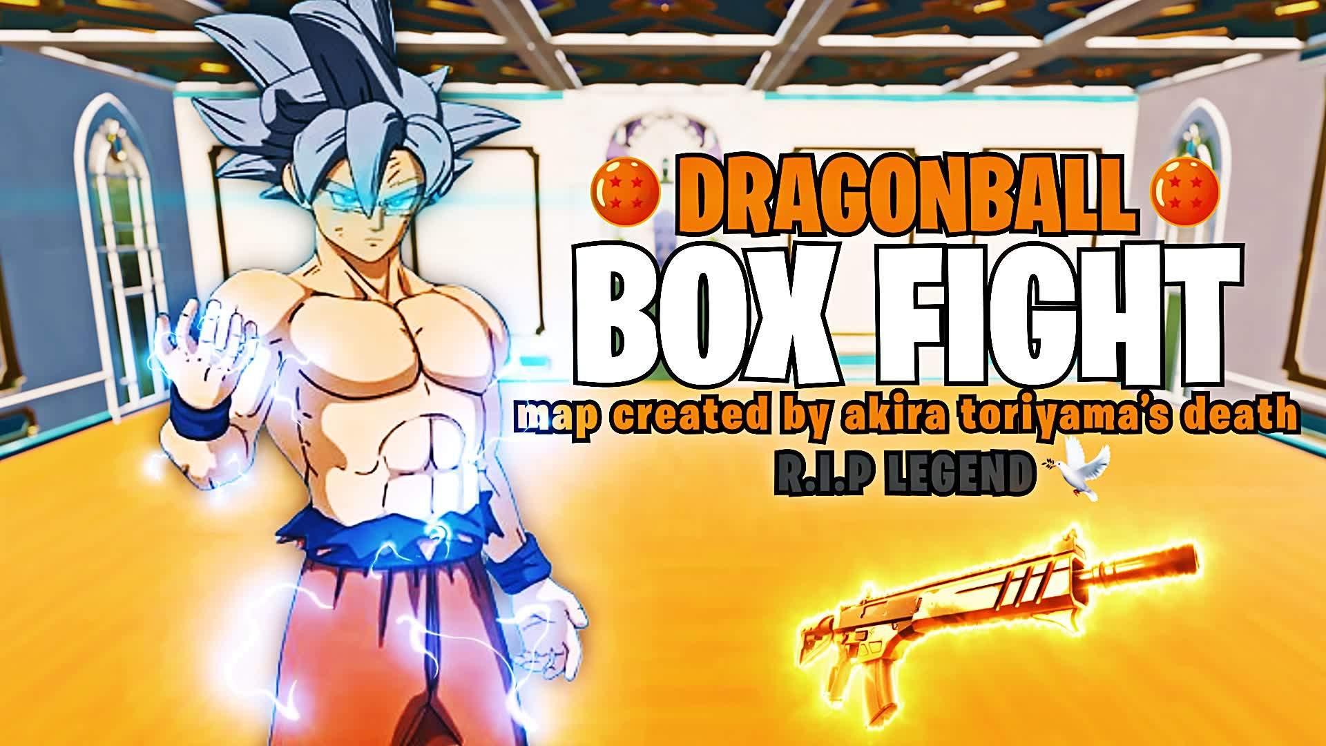 DragonBall Box Fight