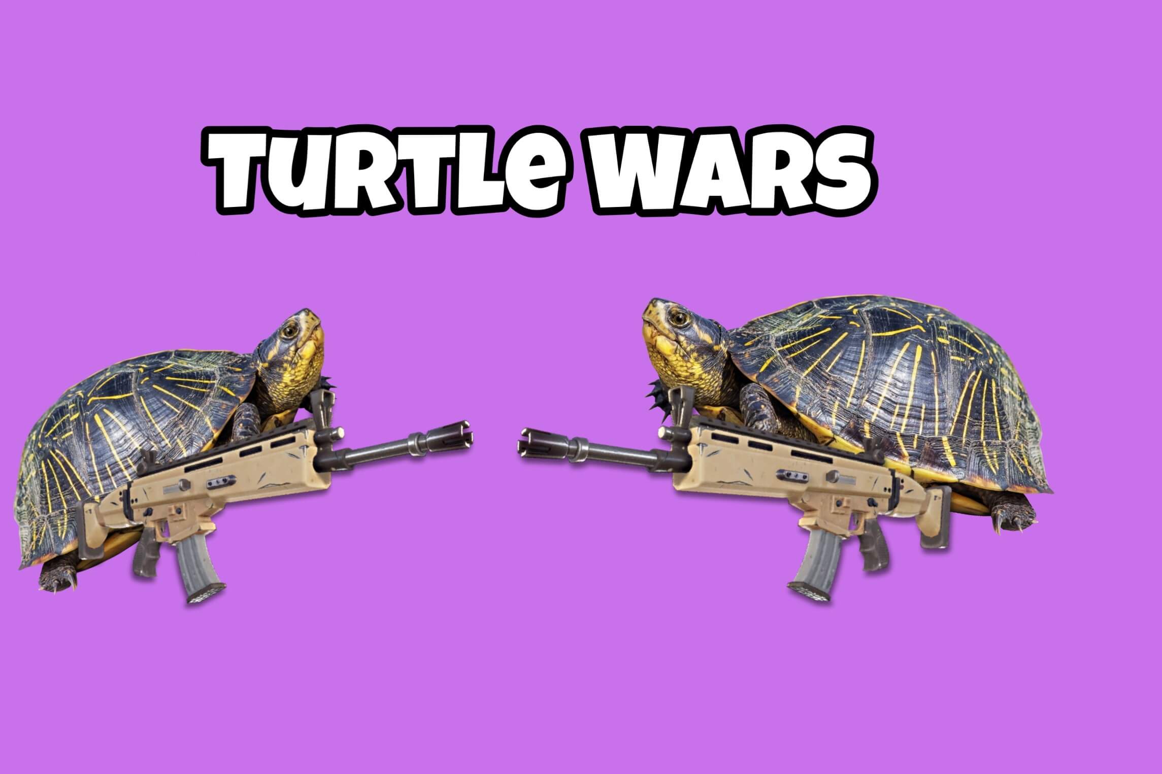 WAR OF THE TURTLES 0_0