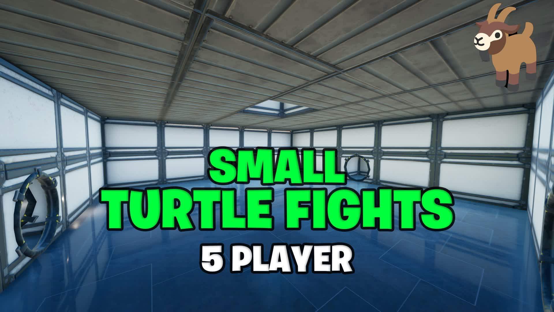 SMALL TURTLE FIGHTS 🐢