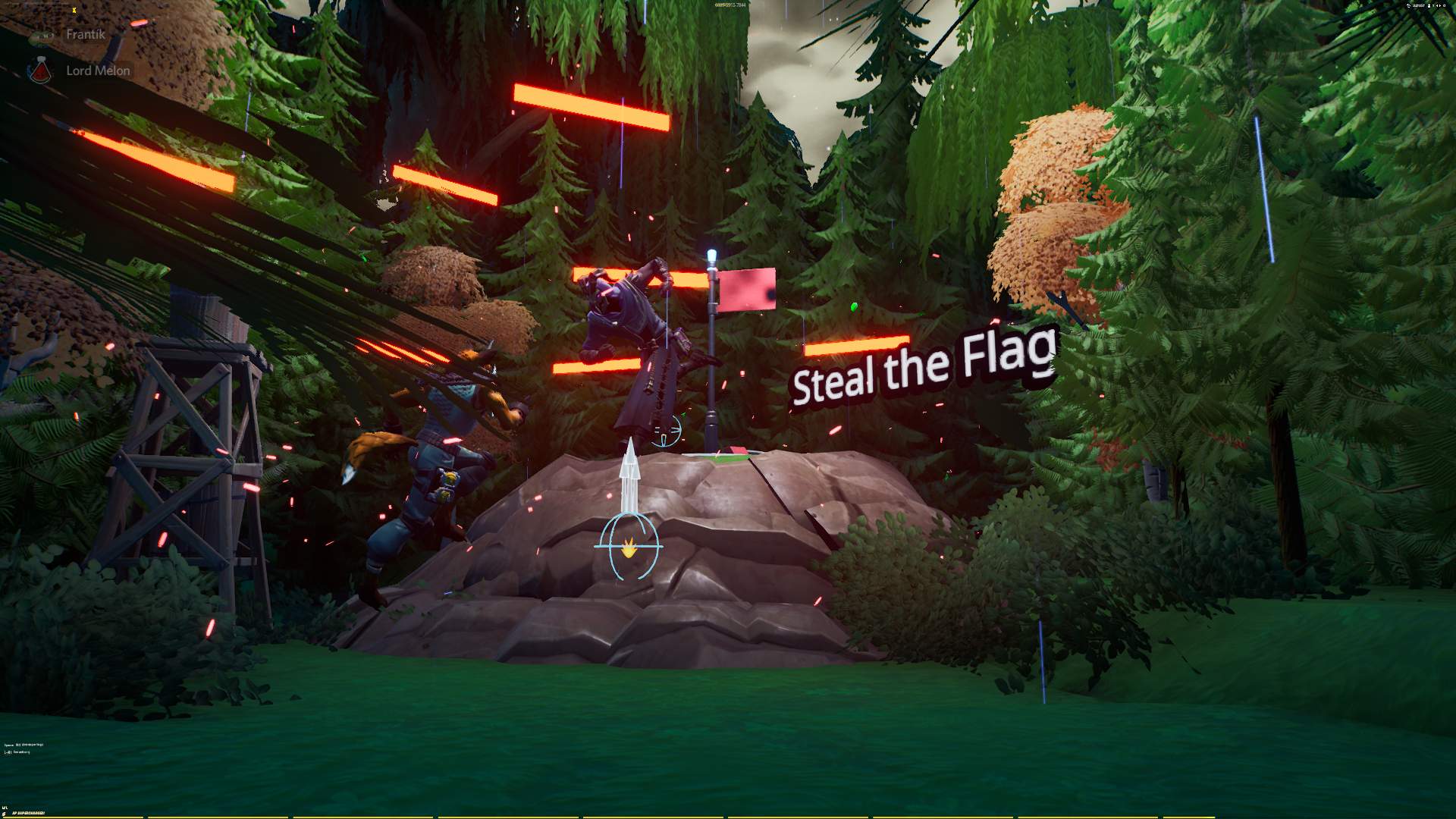 STEAL THE FLAG