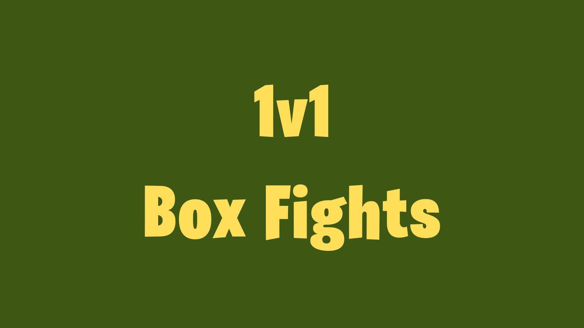 1v1 Box Fights