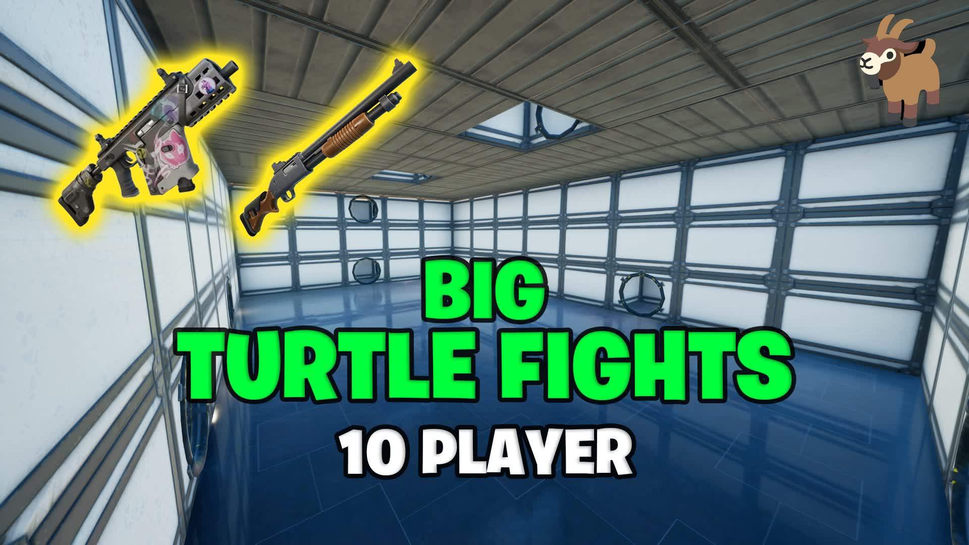 BIG TURTLE FIGHTS 🐢