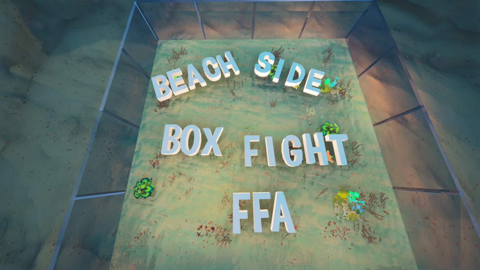 BEACH SIDE BOX FIGHT FFA