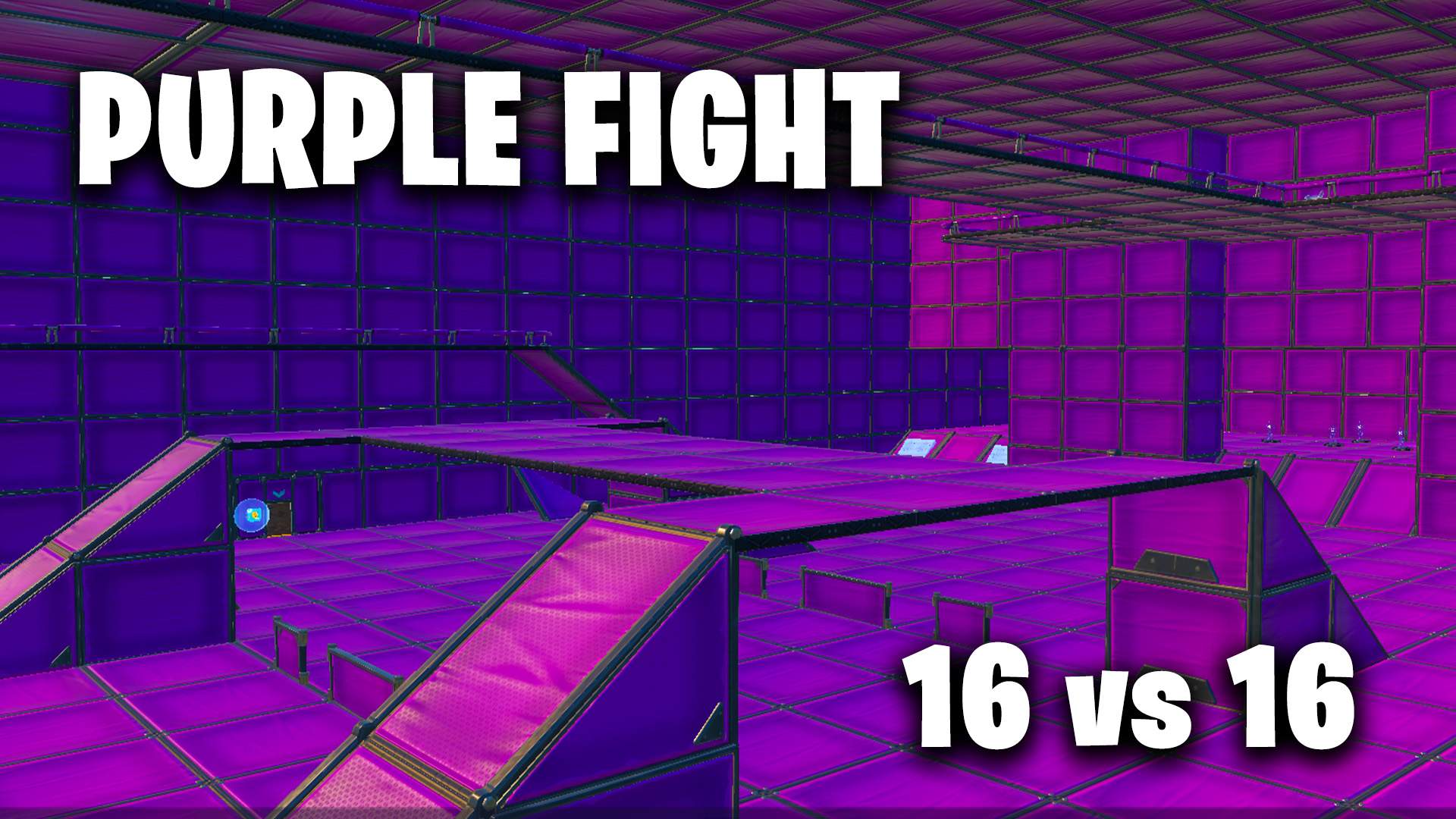 PURPLE FIGHT 16 VS 16