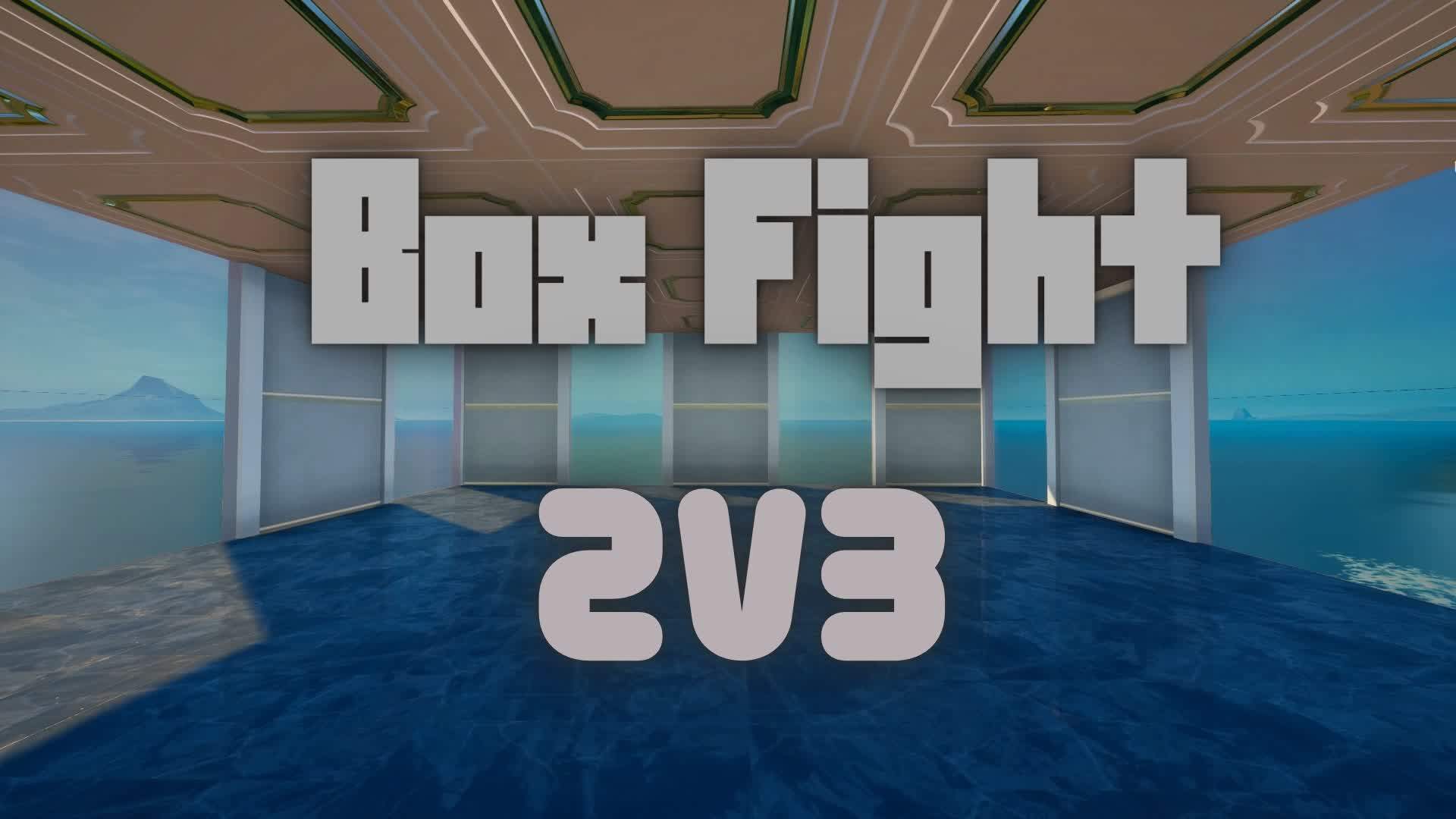 2v3 Box fight
