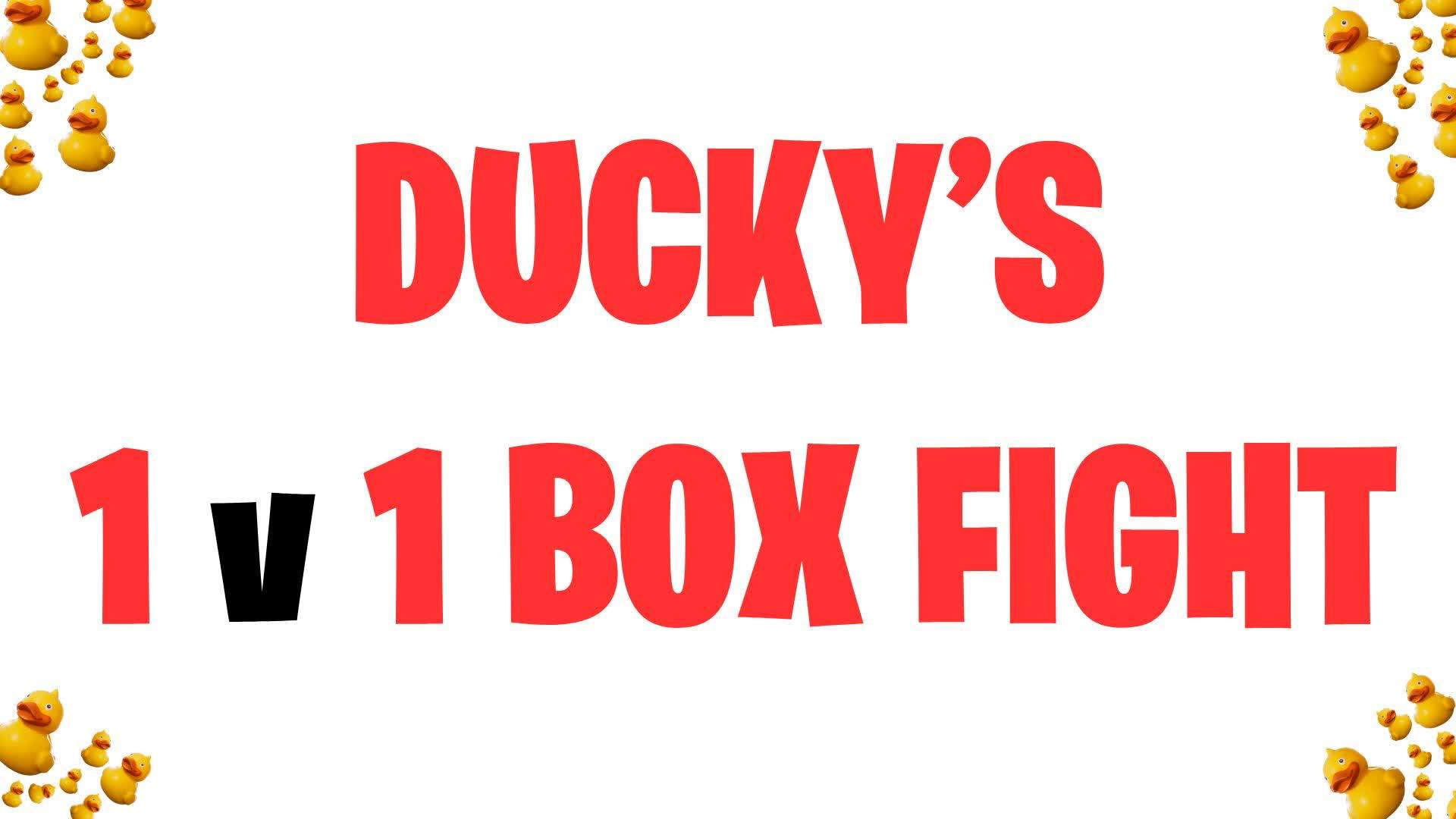 🦆 DUCKY'S 1v1 BOX FIGHT