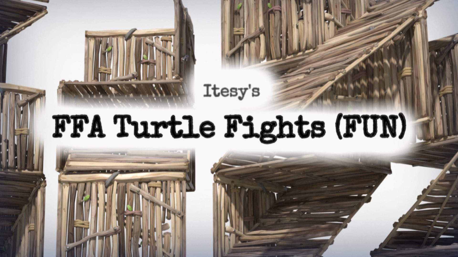 Turtle Fights