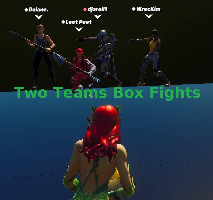 TWO TEAMS BOX FIGHTS (LASG)