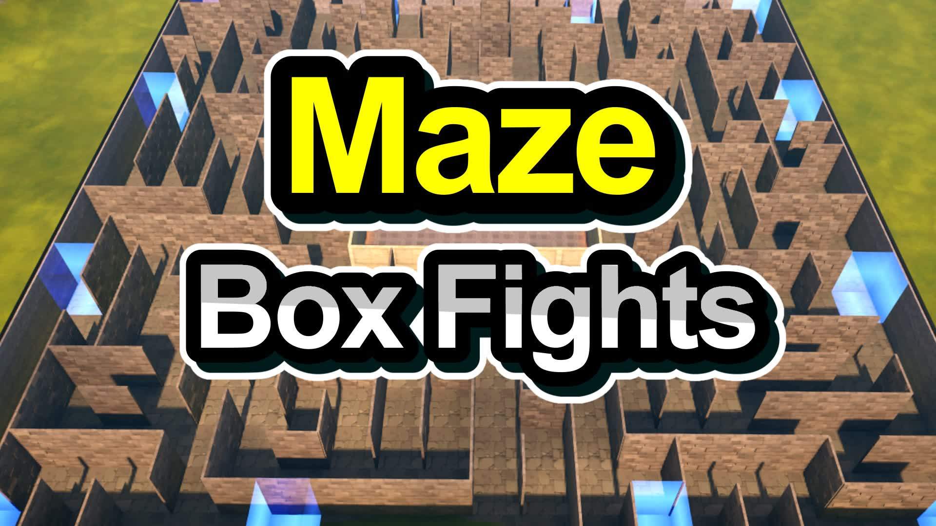 Maze Box Fights! 💥