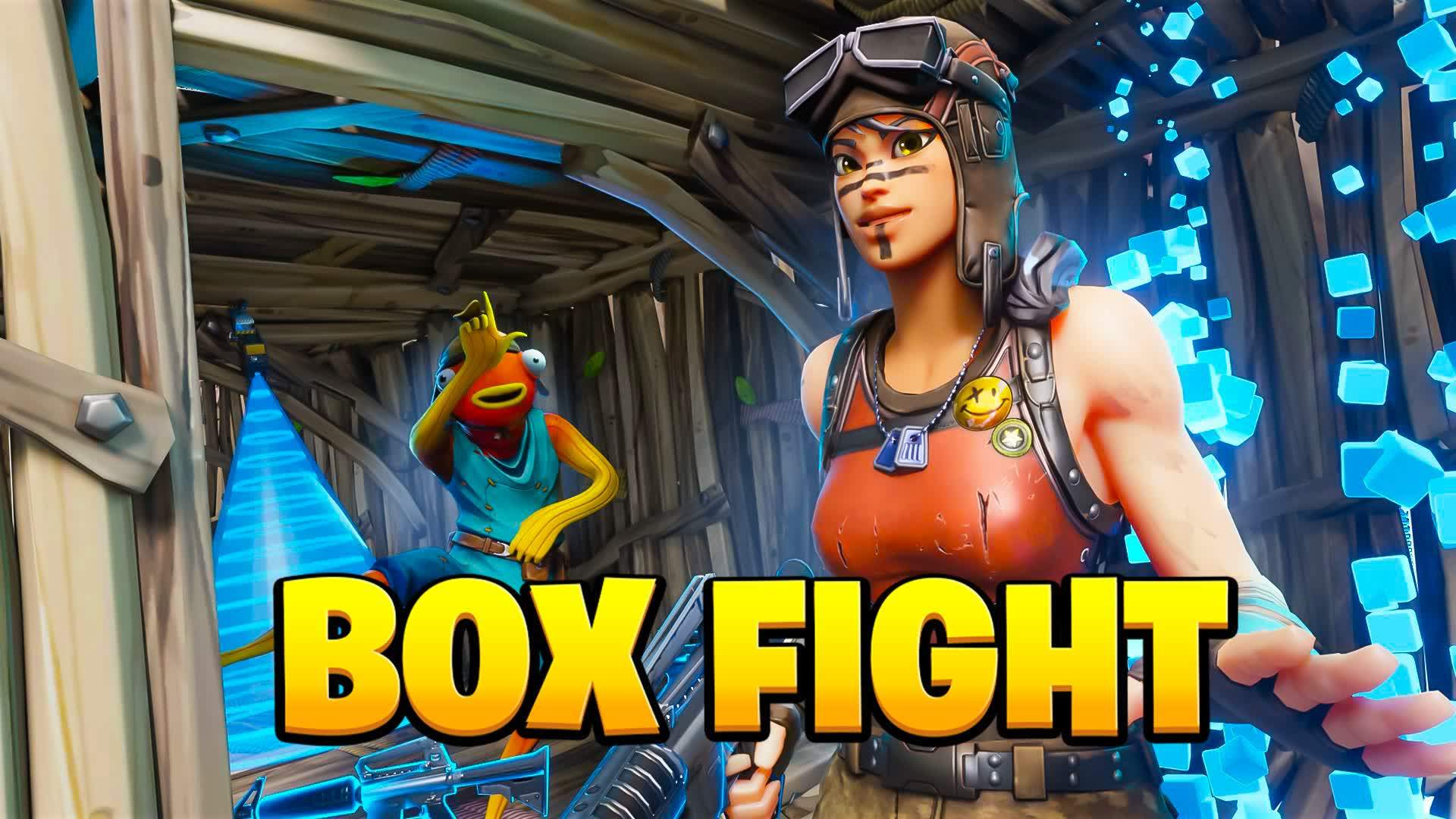 Boxfight 🔥