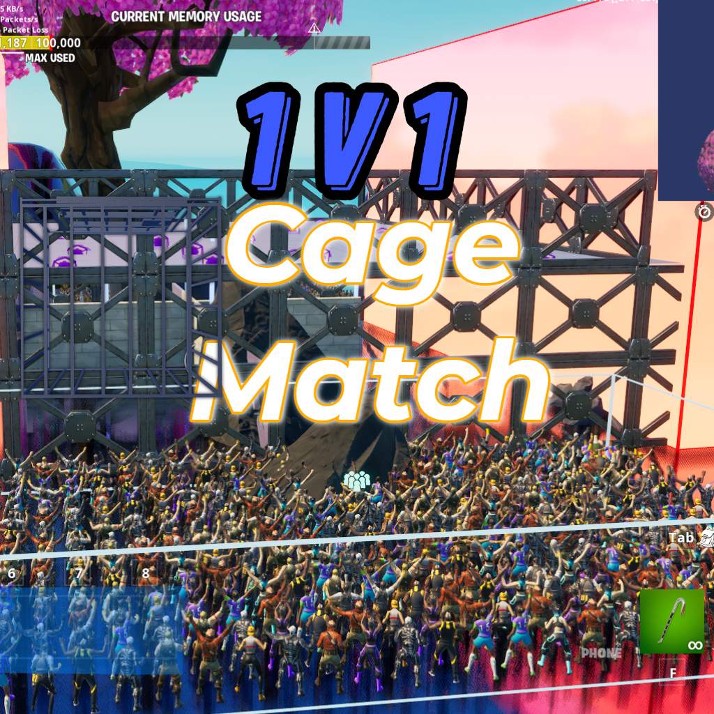 1 V 1 Cage Match