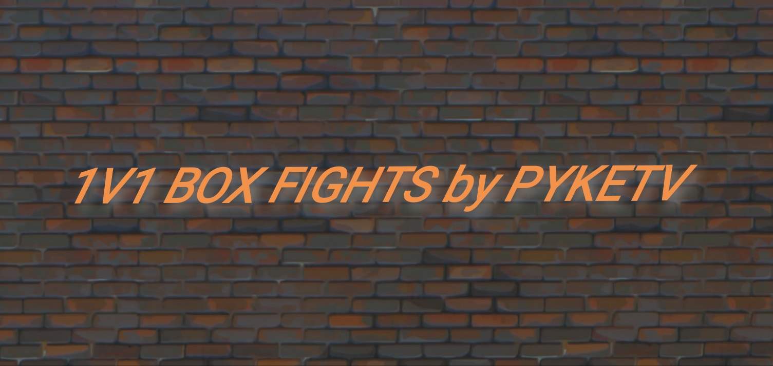 BOX FIGHTS 1V1