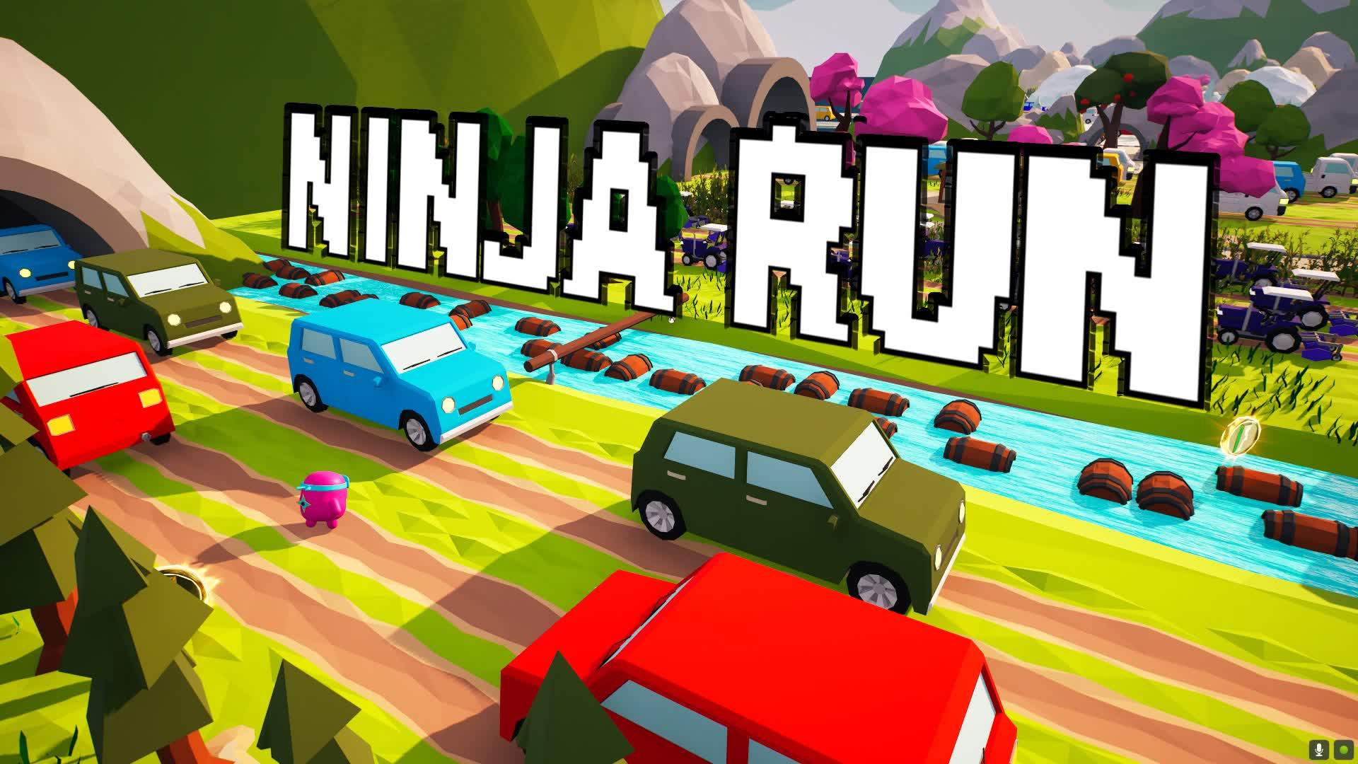 Ninja Run!