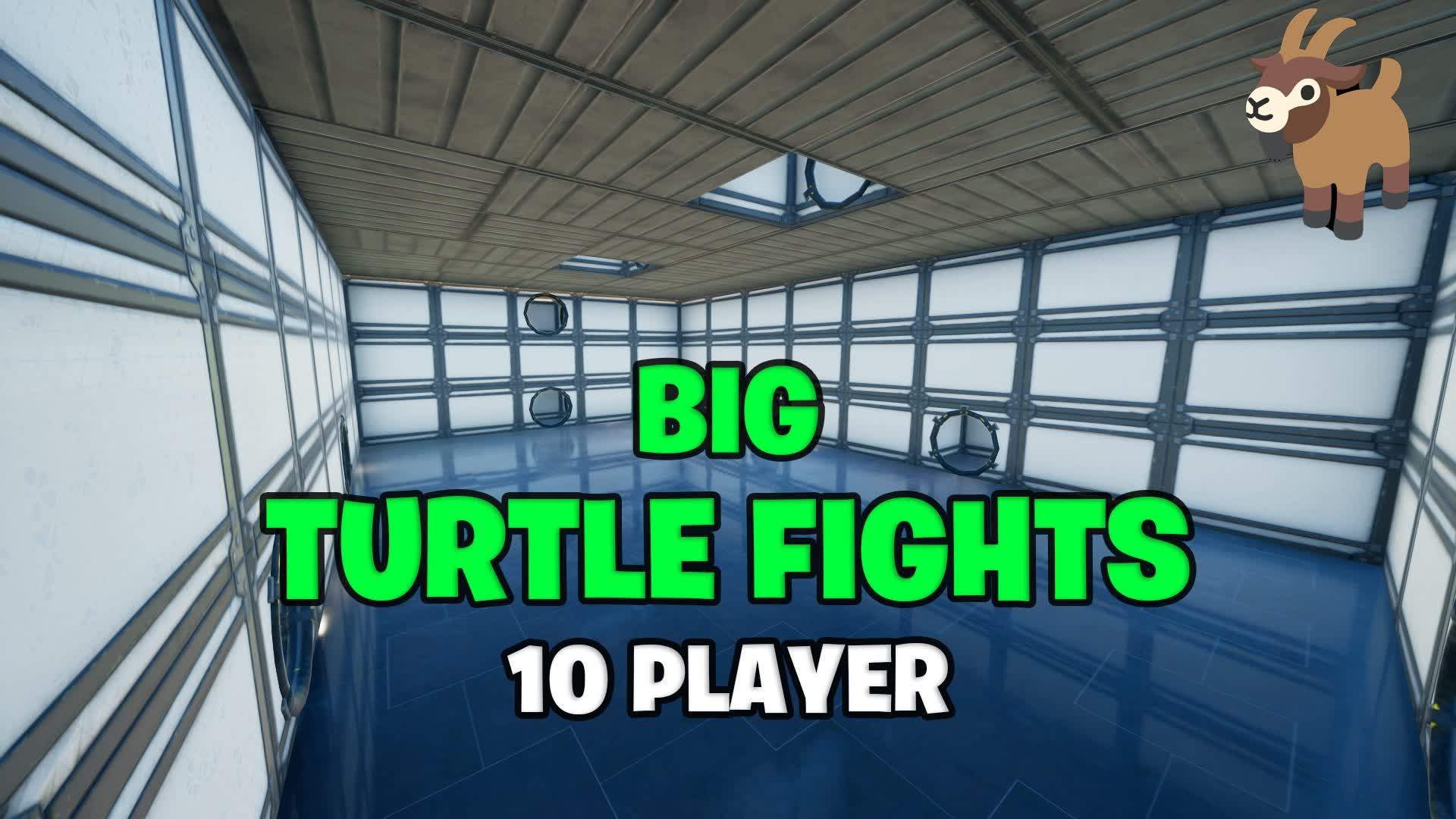BIG TURTLE FIGHTS OG 🐢