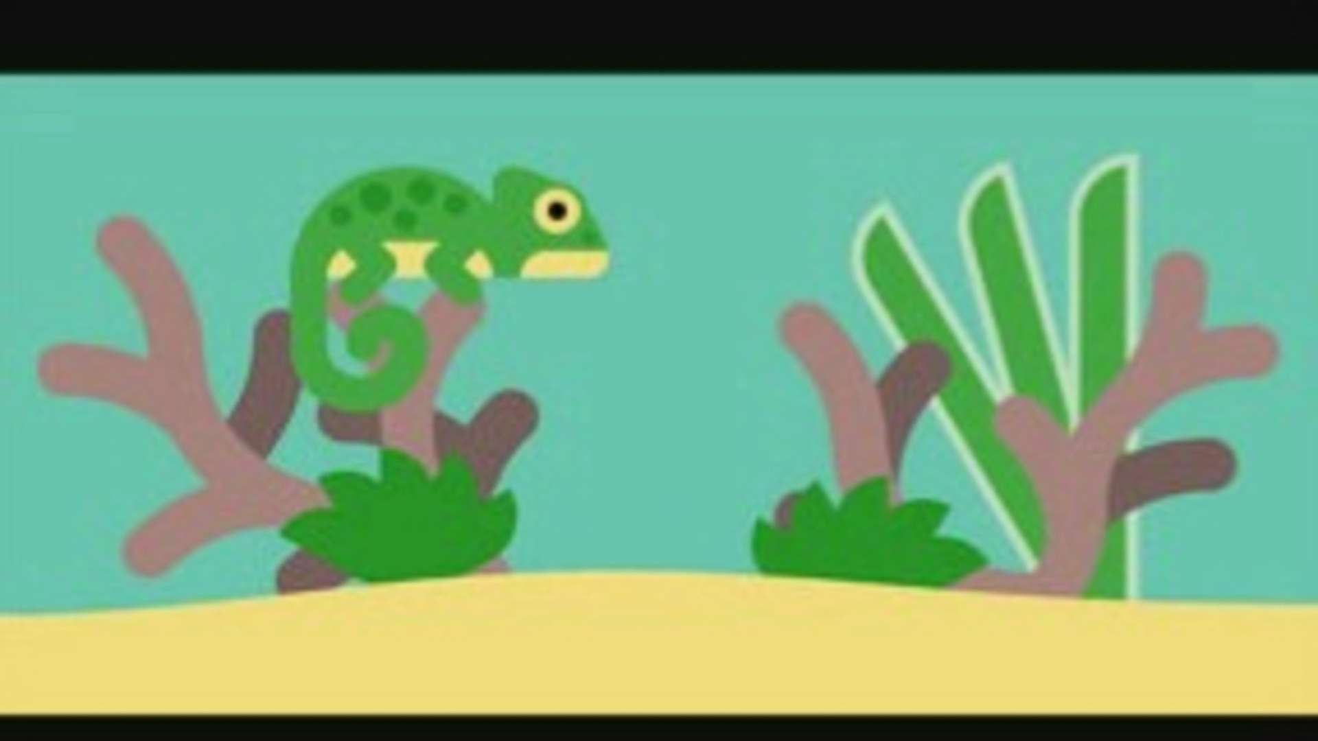 lizard bowl