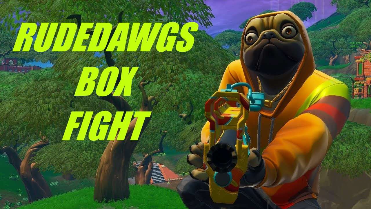 RUDEDAWG'S BOX FIGHT'S