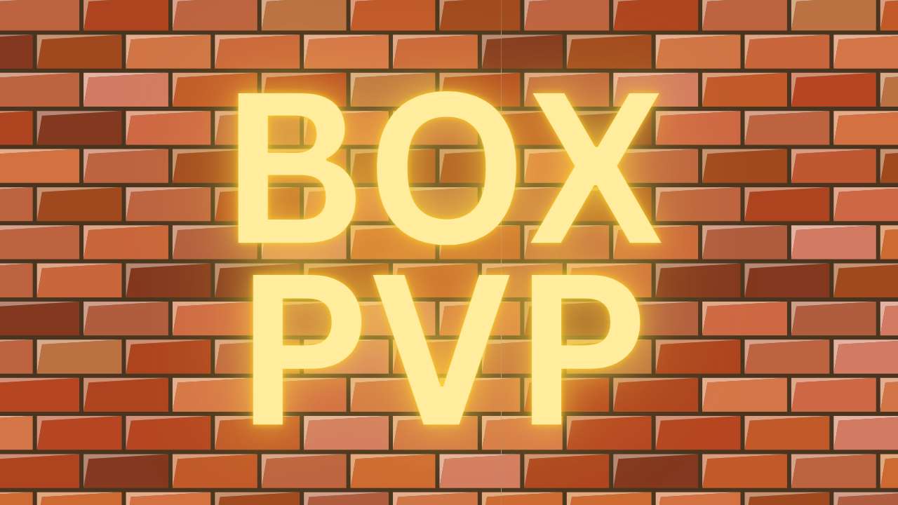 T23 BOX FIGHT PVP